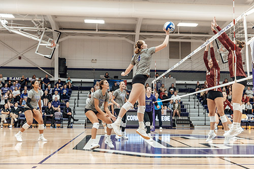 Hillyard 25 Net In Text Good